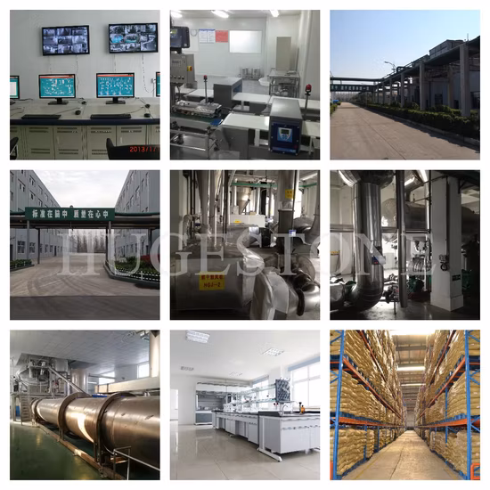 Poudre naturelle de vitamine E, poudre de tocophérols mélangés, CAS : 1406